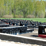 изображение_2025-08-11_115555333